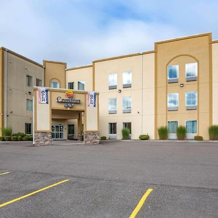 Comfort Inn Apalachin - Binghamton W Route 17 Luaran gambar
