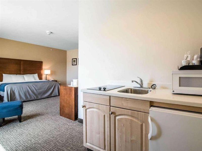 Comfort Inn Apalachin - Binghamton W Route 17 Luaran gambar