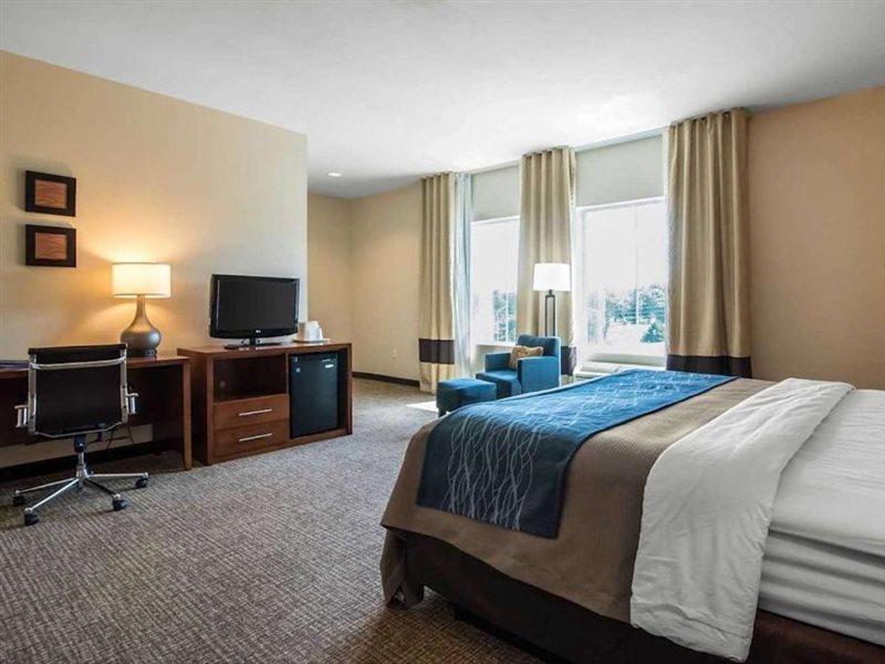 Comfort Inn Apalachin - Binghamton W Route 17 Luaran gambar