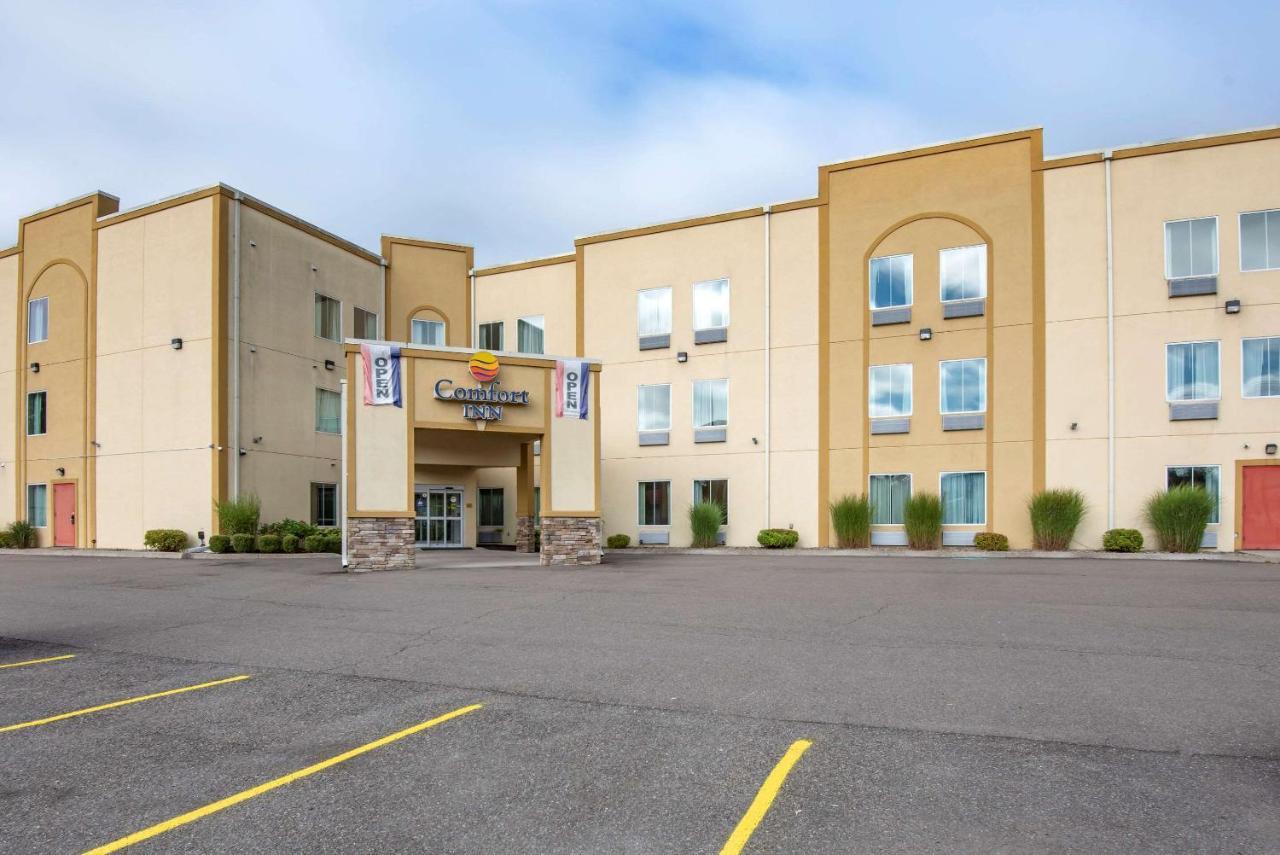 Comfort Inn Apalachin - Binghamton W Route 17 Luaran gambar