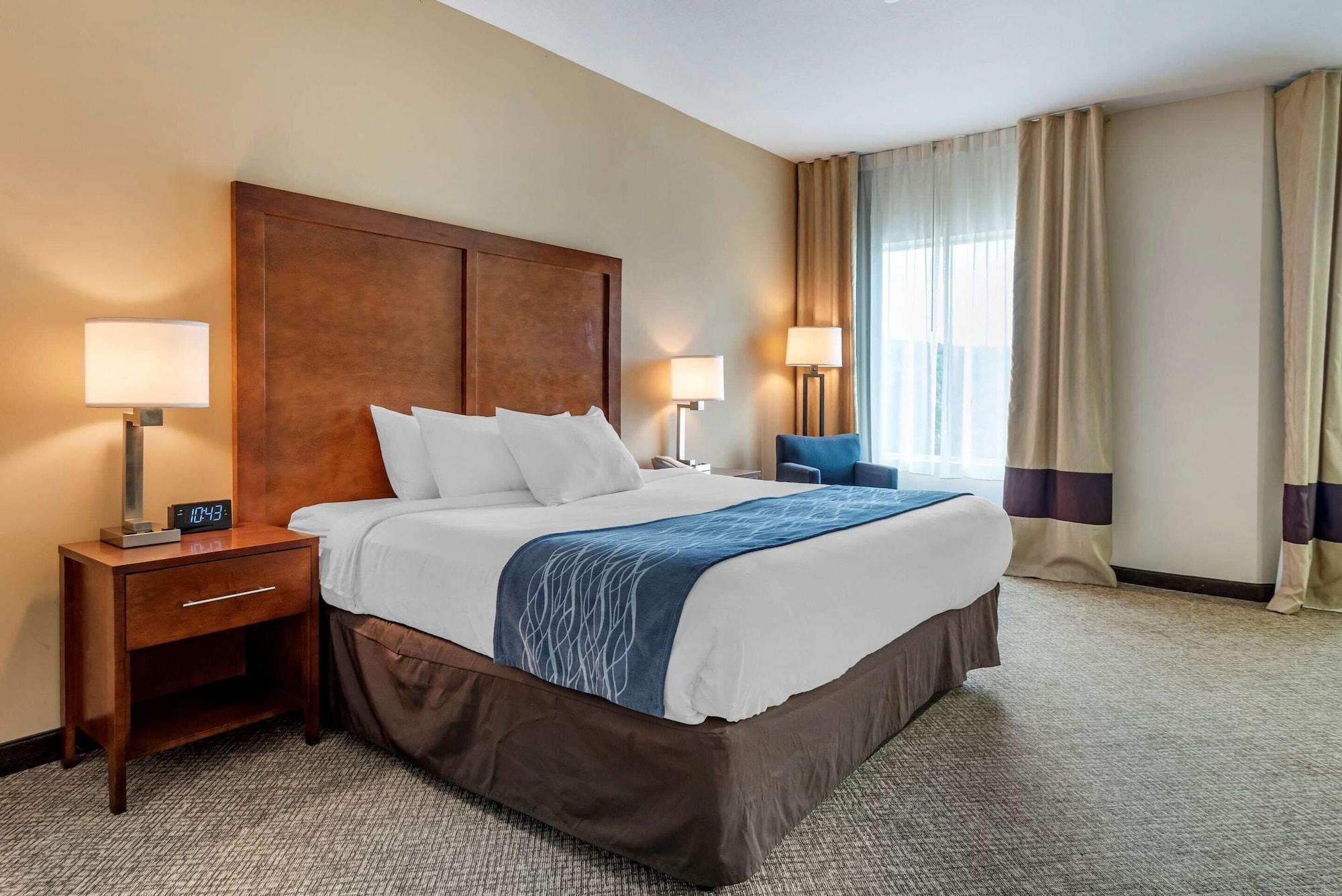 Comfort Inn Apalachin - Binghamton W Route 17 Luaran gambar