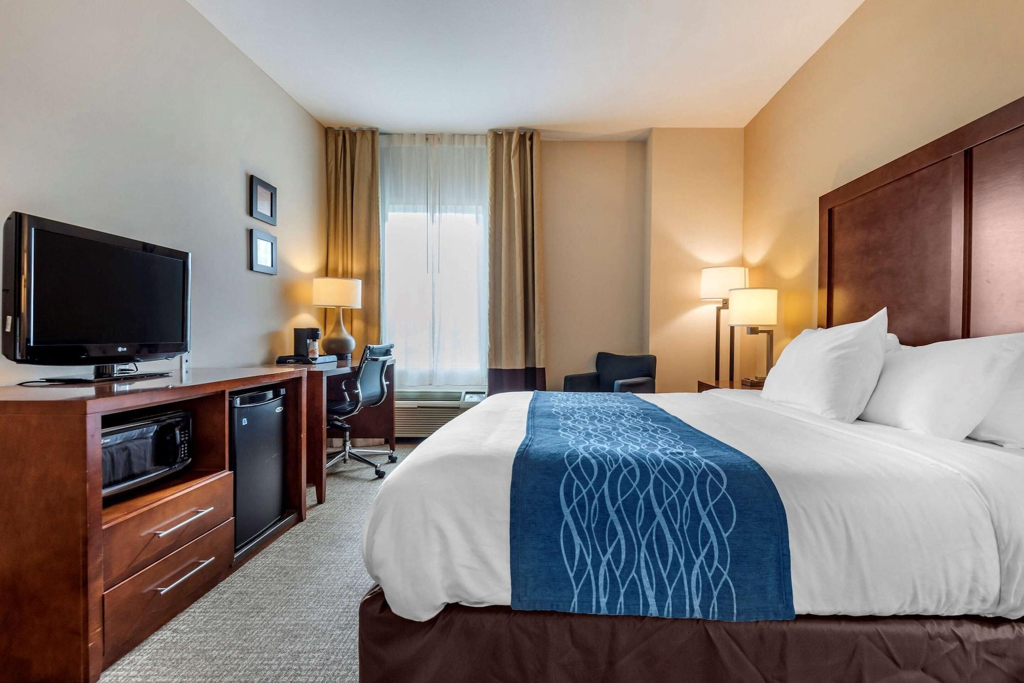 Comfort Inn Apalachin - Binghamton W Route 17 Luaran gambar