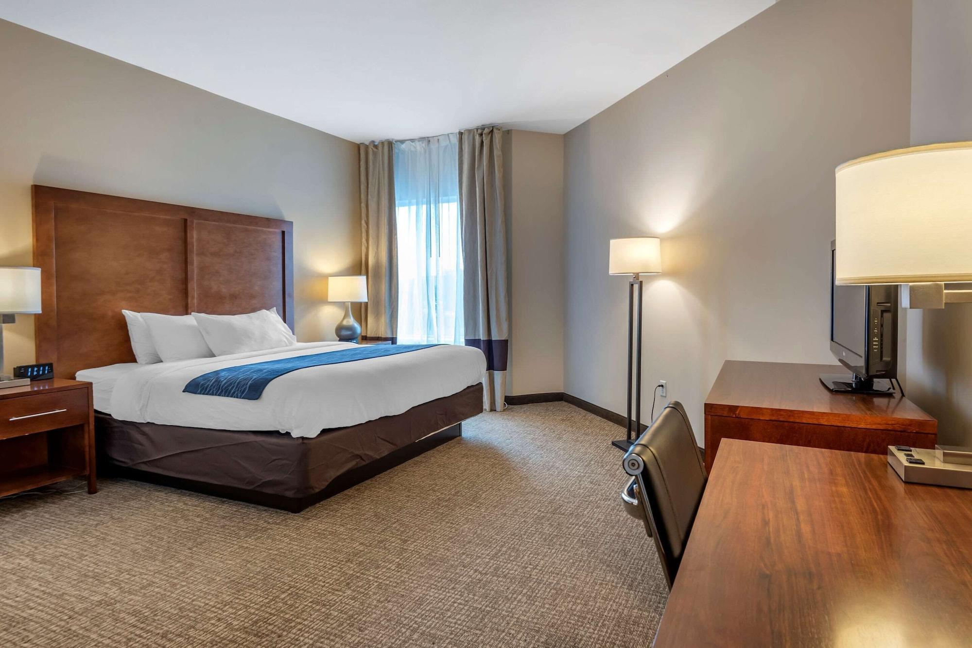 Comfort Inn Apalachin - Binghamton W Route 17 Luaran gambar