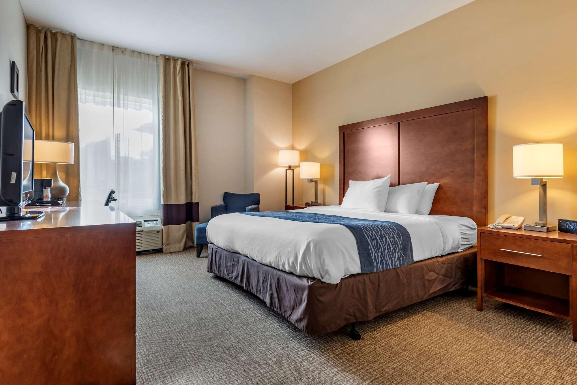 Comfort Inn Apalachin - Binghamton W Route 17 Luaran gambar