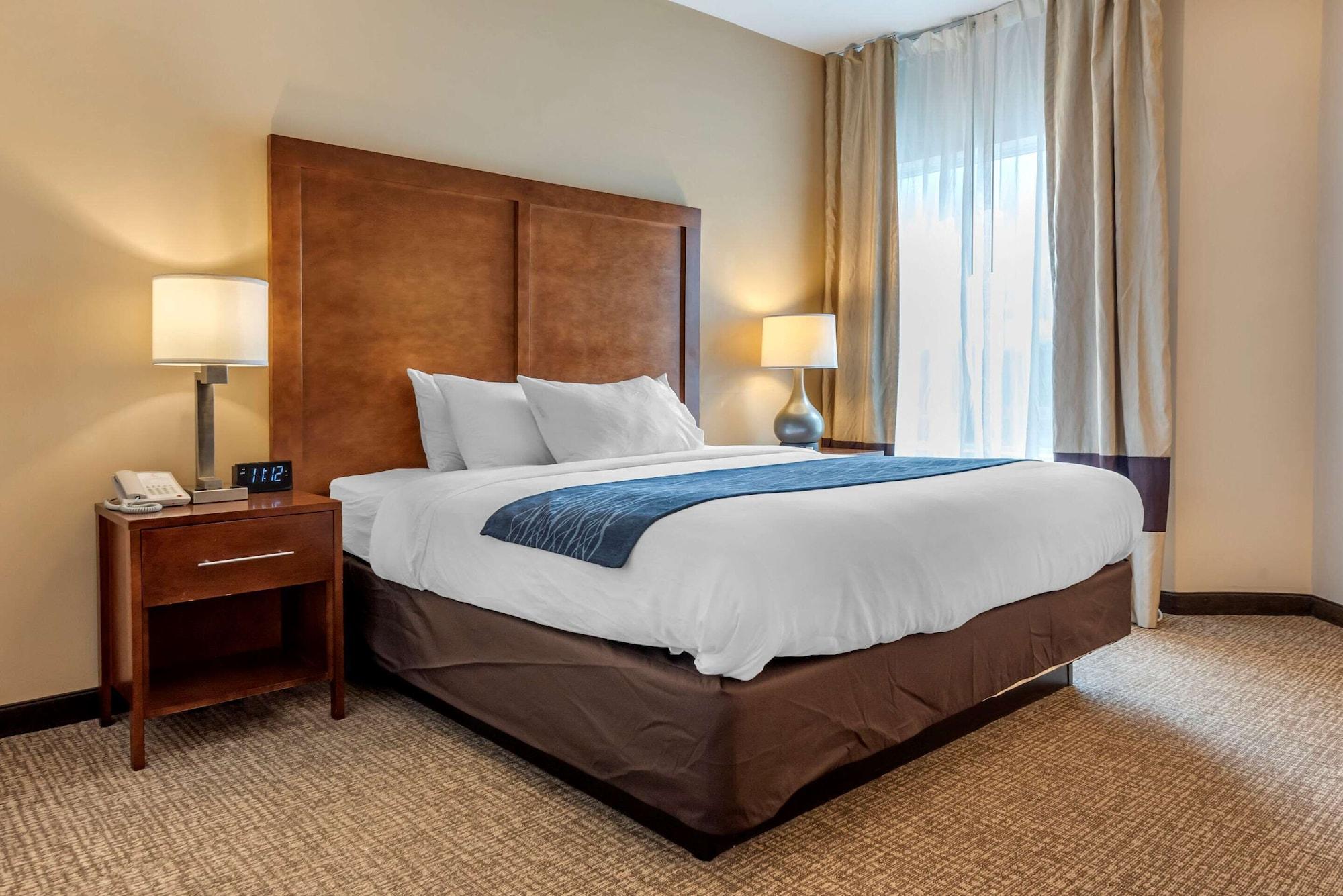 Comfort Inn Apalachin - Binghamton W Route 17 Luaran gambar