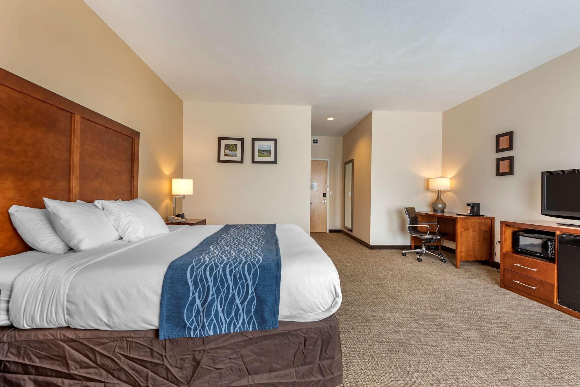 Comfort Inn Apalachin - Binghamton W Route 17 Luaran gambar