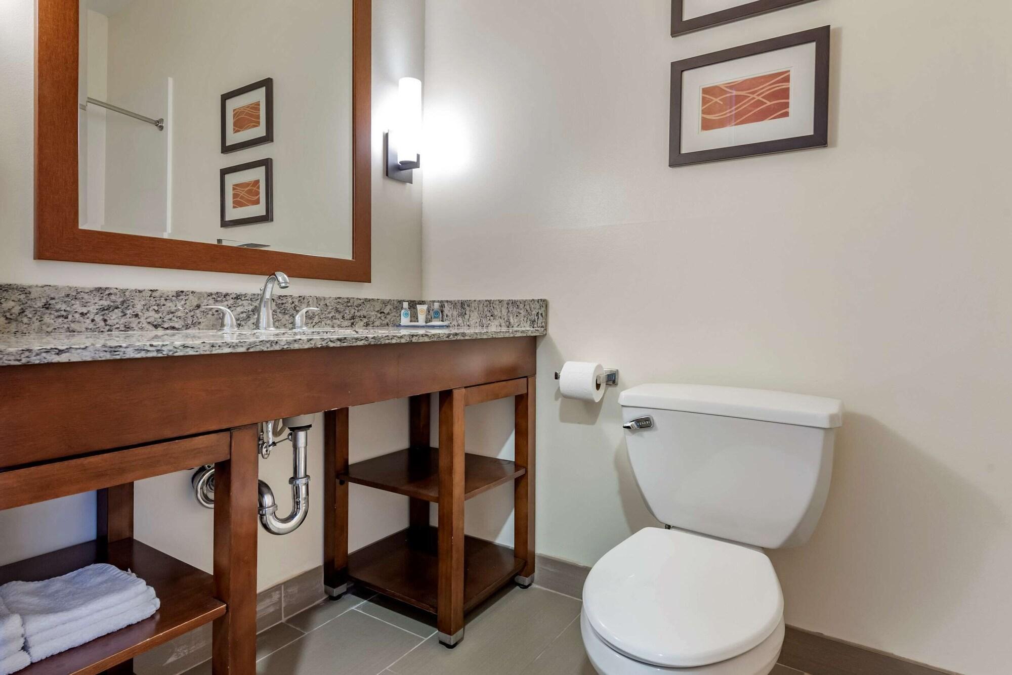 Comfort Inn Apalachin - Binghamton W Route 17 Luaran gambar