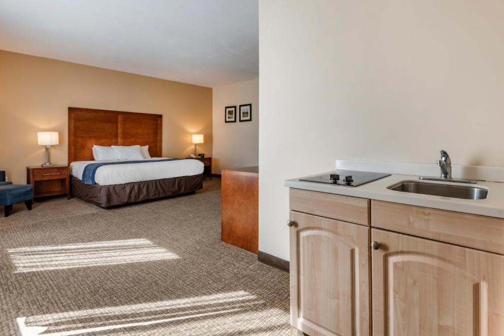 Comfort Inn Apalachin - Binghamton W Route 17 Luaran gambar