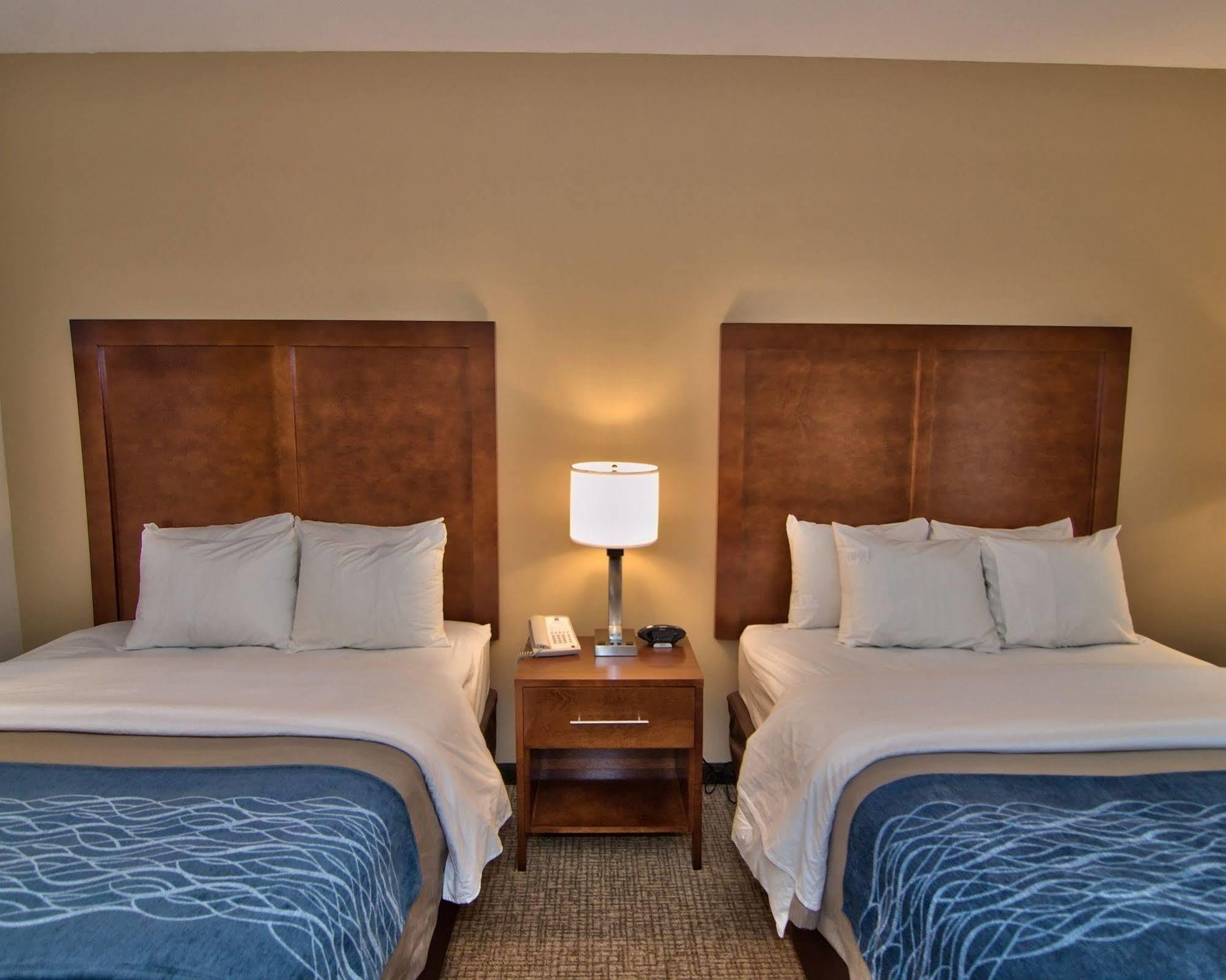 Comfort Inn Apalachin - Binghamton W Route 17 Luaran gambar